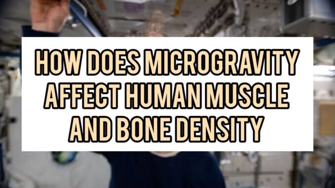 How Does Microgravity Affect Human Muscle And Bone Density How Does Microgravity Affect Human Muscle And Bone Density
